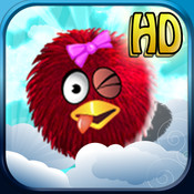 Bumping Birds - HD !
