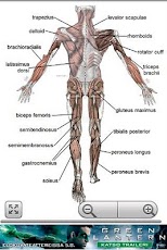 Human Anatomy - صورة شاشة 2