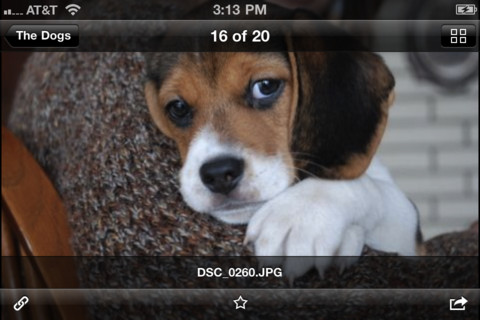 Dropbox - صورة شاشة 2