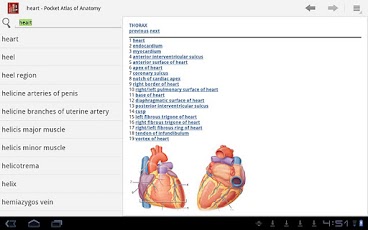Pocket Atlas of Anatomy TR - صورة شاشة 3
