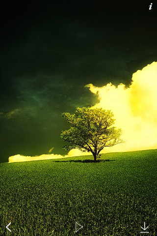 HD Wallpapers Stand