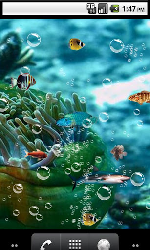 Aquarium 3D - صورة شاشة 2