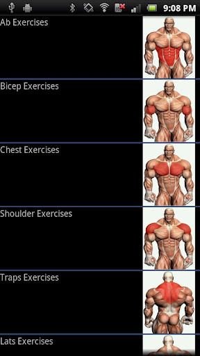 Complete Gym Exercise Guide - صورة شاشة 1