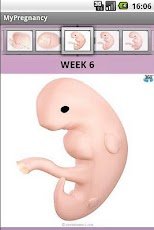 My Pregnancy - صورة شاشة 2