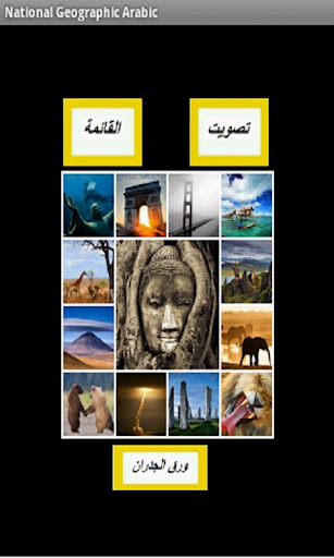National Geographic Arabic - صورة شاشة 2
