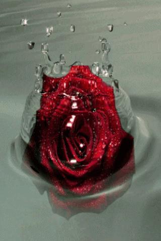 Floating Rose - صورة شاشة 1