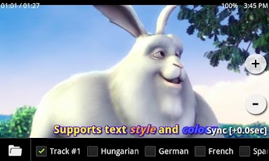 MX Player Codec (ARMv6 VFP) - صورة شاشة 2
