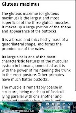 Human Anatomy - صورة شاشة 3