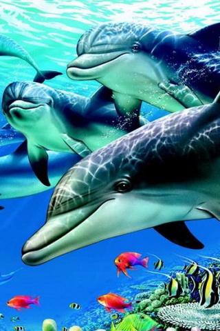 Magic touch:Beautiful dolphins - صورة شاشة 3