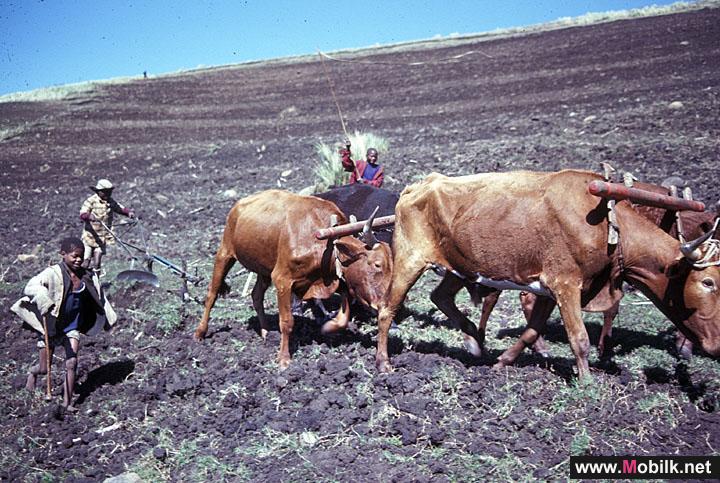 Almadar Aljadid sponsored in Kabawo